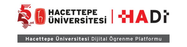 Hacettepe Üniversitesi